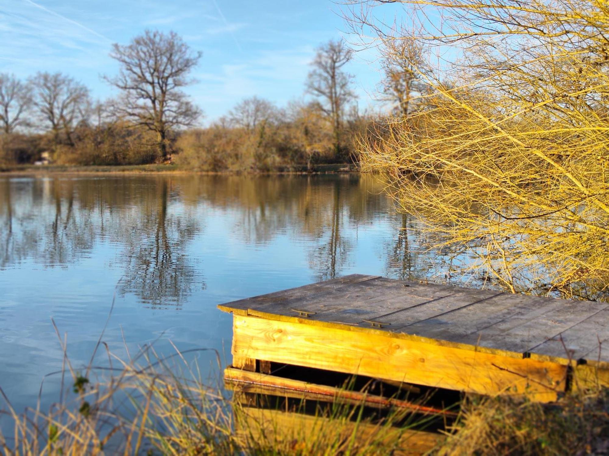 Domaine De La Roseliere • Nature • Brenne Rosnay Kültér fotó