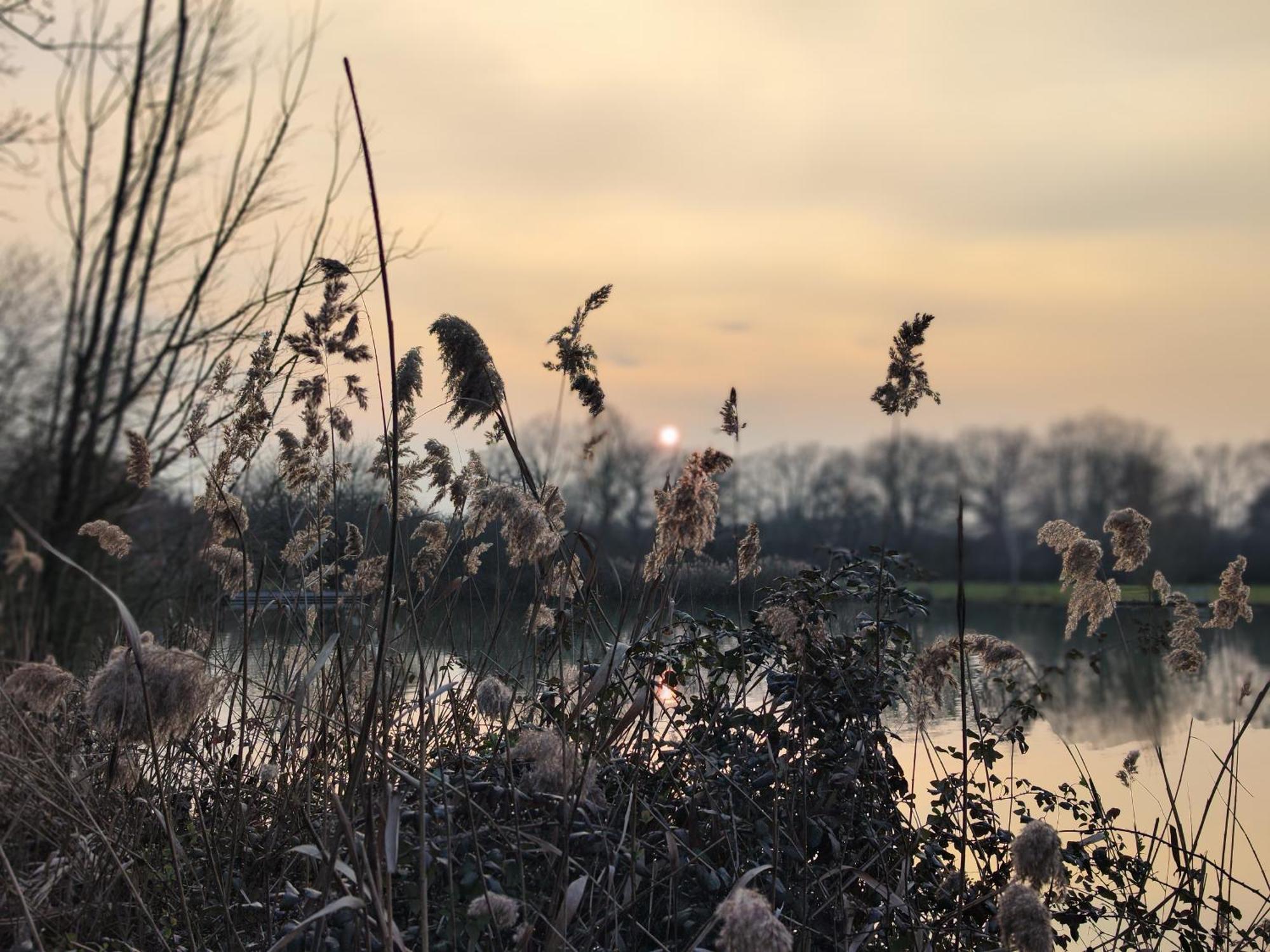 Domaine De La Roseliere • Nature • Brenne Rosnay Kültér fotó