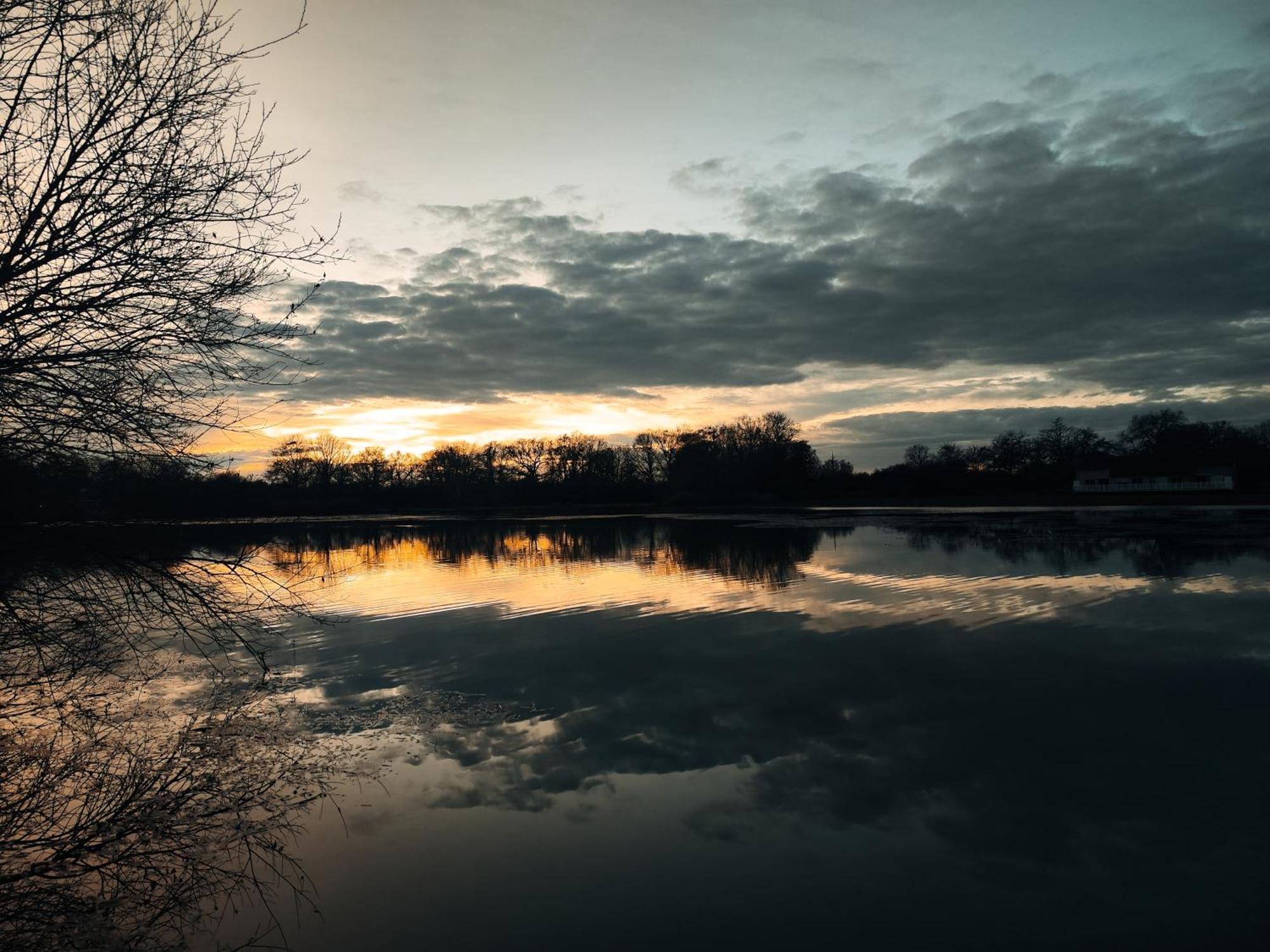 Domaine De La Roseliere • Nature • Brenne Rosnay Kültér fotó