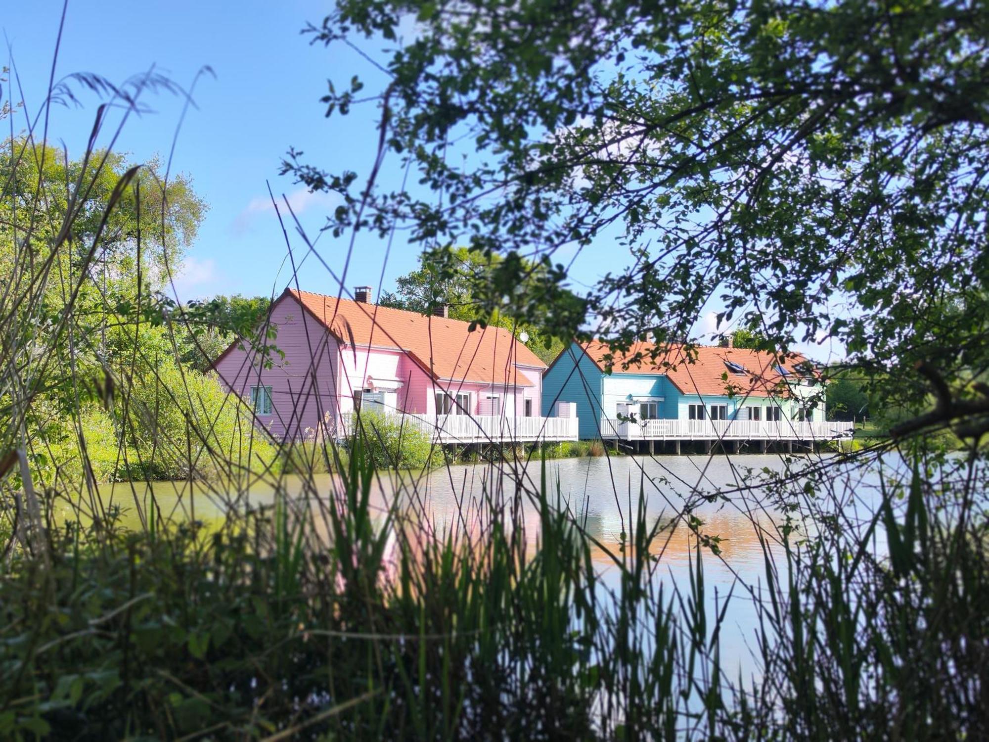 Domaine De La Roseliere • Nature • Brenne Rosnay Kültér fotó